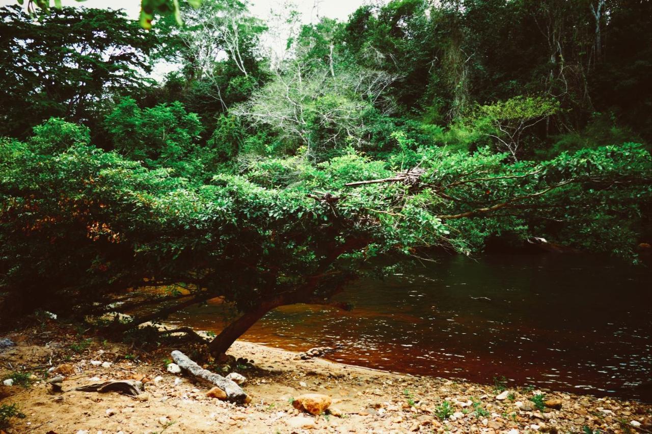 Alma Del Rio Eco-Comfort On The Water San Ignacio Εξωτερικό φωτογραφία