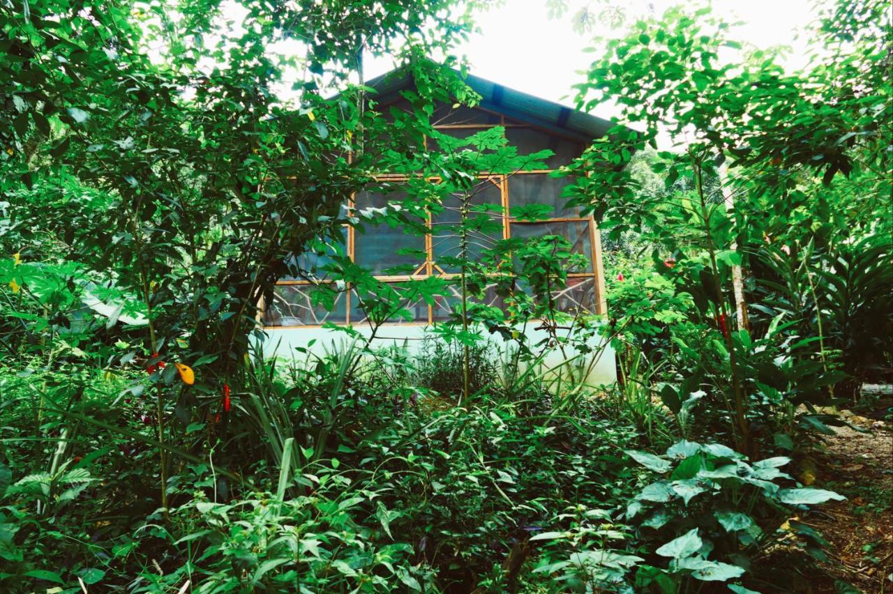 Alma Del Rio Eco-Comfort On The Water San Ignacio Εξωτερικό φωτογραφία